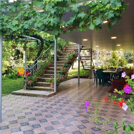 Hotel Valiko House In Telavi Exteriér fotografie