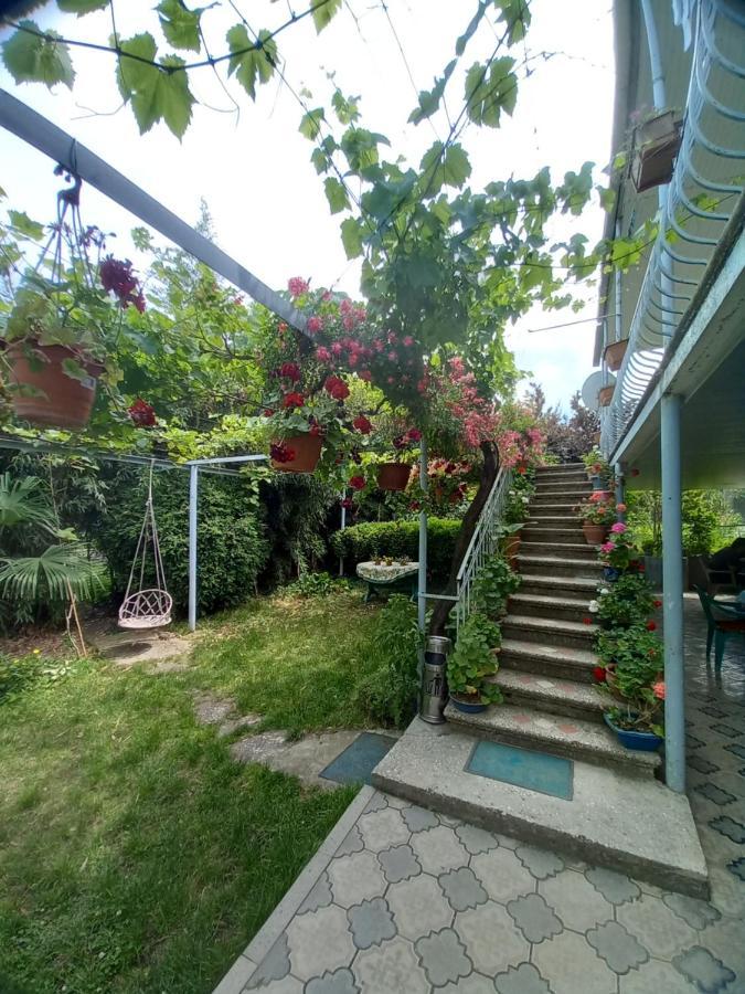 Hotel Valiko House In Telavi Exteriér fotografie